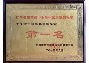 ����ʡ��������Сѧ����ȭ�����������
Ů�Ӹ����龺�������ֵܷ�һ��