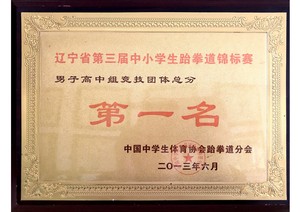 ����ʡ��������Сѧ����ȭ��������
���Ӹ����龺�������ֵܷ�һ��